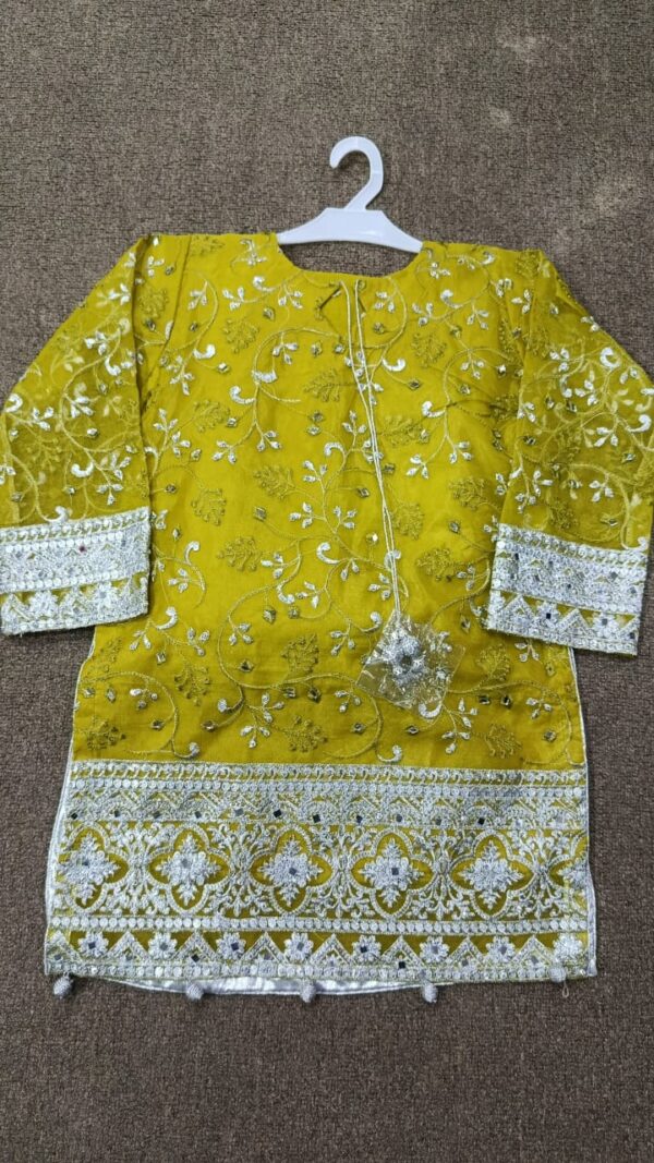 Sharara Suit with Silver Handmade Design