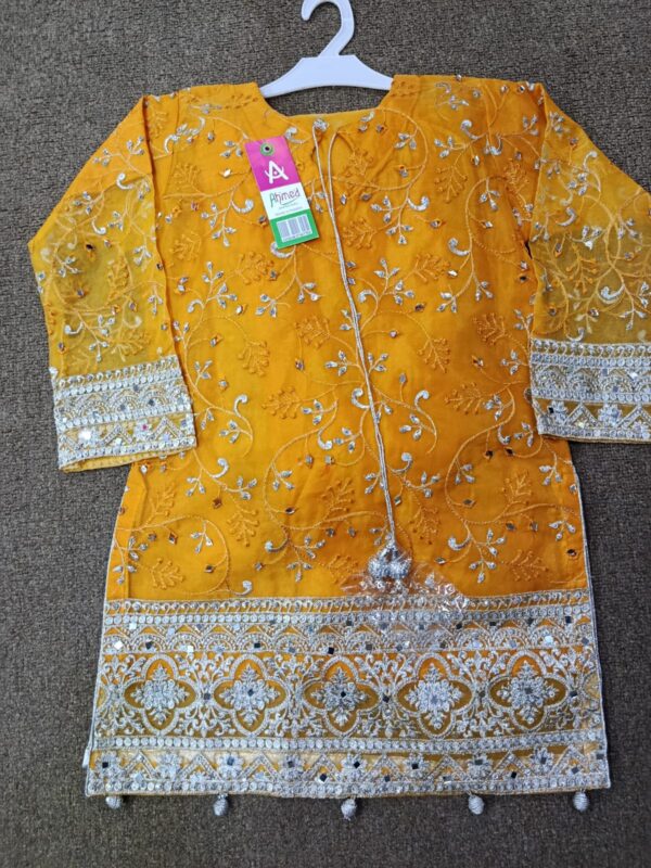 Sharara Suit with Silver Handmade Design