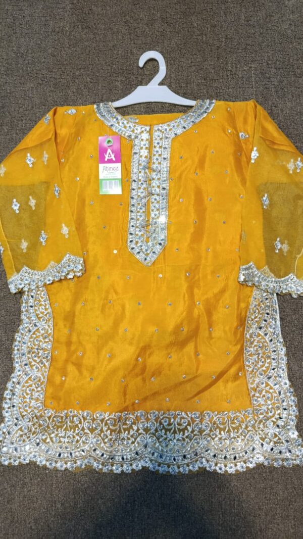 Sharara suit with silver dhagaa karhai