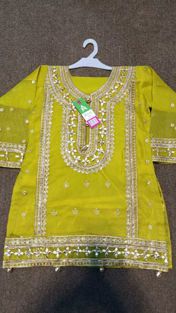 organza gotta style sharara suit