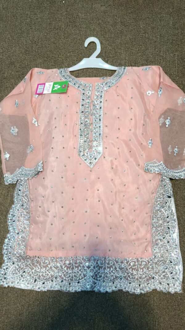 Sharara suit with silver dhagaa karhai