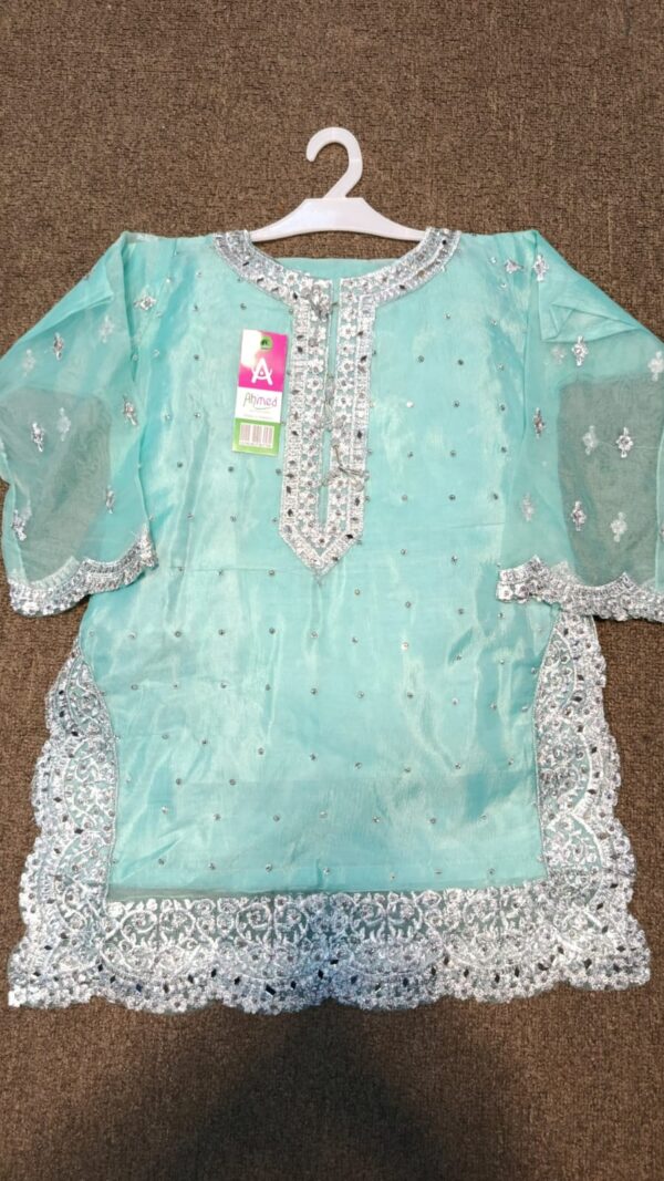 Sharara suit with silver dhagaa karhai