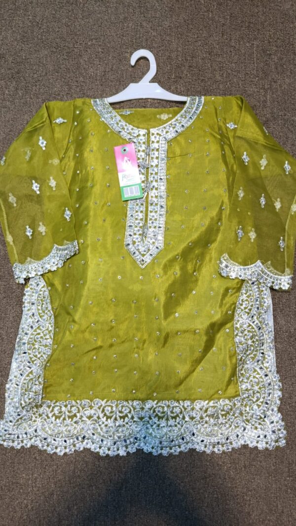 Sharara suit with silver dhagaa karhai