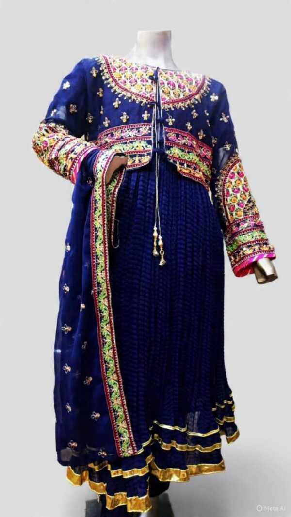 WhatsApp Image 2026-03-09 at 10.58.24 PM MULTI COLOUR embroided MAXI with JACKET